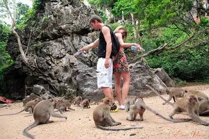 Tour image of James Bond Island Adventure Tour from Khao Lak including Sea Canoeing & Lunch