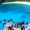 Image of Extreme Sports