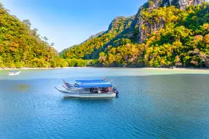 Tour image of Private Langkawi Mangrove Tour