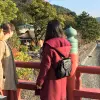 Image of Food Tours