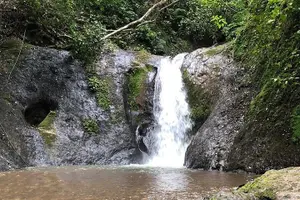Tour image of Buggy Tour in Jaco