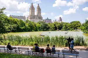 Tour image of Private Central Park Pedicab Tour