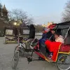 Image of Go Kart