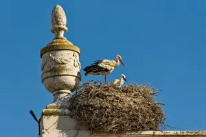 Tour image of Highlights & Hidden Gems of Faro Private Tour