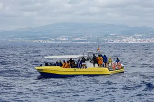 Tour image of Azores Whale Watching Tour – Ponta Delgada