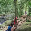 Image of Wildlife Encounters