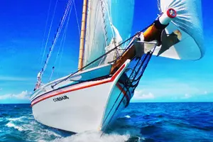 Tour image of Sunset & Champagne Cruise on a Classic Schooner with boat dogs