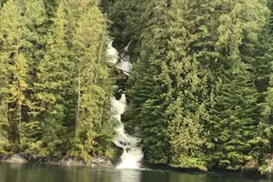 Tour image of Ketchikan Whale Watching and Nature Tour