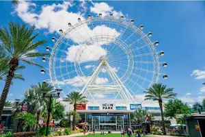 Tour image of Orlando Sightseeing Tour with Optional Boat Cruise