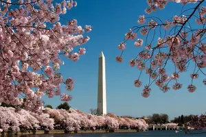 Tour image of Private Multilingual DC City Tour (Spanish, Portuguese, English)