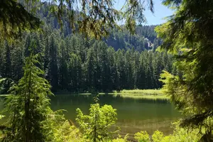 Tour image of Mt. Hood Loop Tour from Portland