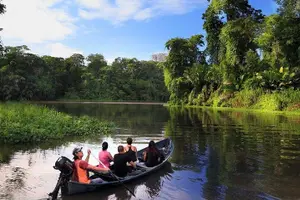 Tour image of 3-hour experience through the Tortuguero canals
