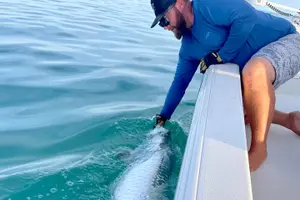 Tour image of Backcountry Half Day Fishing Key West