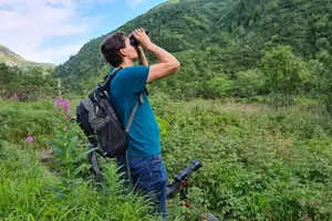 Tour image of Bearwatching Hiking Day Tour in High Tatras from Poprad