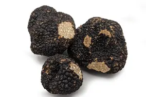 Tour image of Truffle Cavage Demonstration