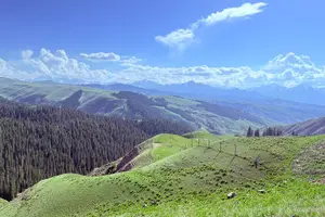 Tour image of Private Day Tour to Nanshan Pasture and Tianshan Grand Canyon