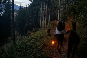 Tour image of Llama hike with homemade, traditional cheese fondue