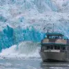 Image of Sightseeing Cruises
