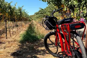 Tour image of Electric Bike Rental in Livermore