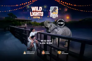 Tour image of Dubai Safari Park Tickets