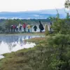 Image of Wildlife Encounters