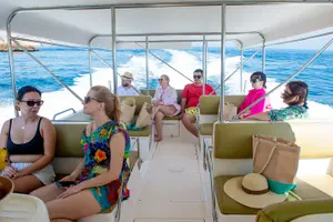 Tour image of Oman Dolphin Watching Tours