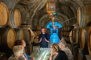 Tour image of Full Day Private Tour to Douro - Vintage Experience