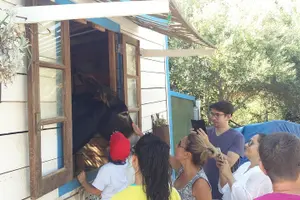 Tour image of Algarve Safari - Half Day from Albufeira