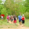 Image of Nature Walks