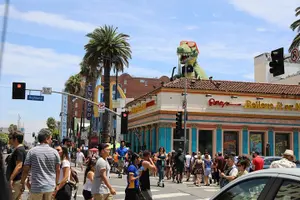 Tour image of Authentic 3-Hour Hollywood to Beverly Hills Tour