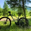 Image of Bike Rentals