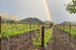 Tour image of Wine Tour Pros - Napa Valley Wine Tour and Transportation