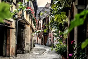 Tour image of Colmar Private Walking Tour With A Professional Guide