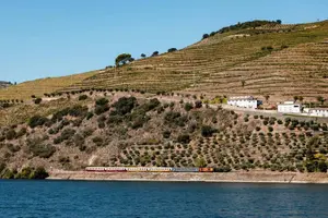 Tour image of Douro River Cruise from Pinhão with Scenic Train Return