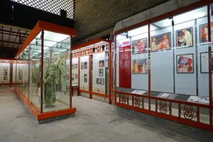 Tour image of Bruce Lee Hometown Martial Art Culture Lion Dance Private Tour