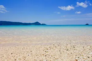 Tour image of Snorkeling with sea turtles