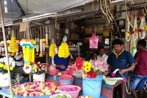 Tour image of Penang Half Day City Tour with The Top Komtar