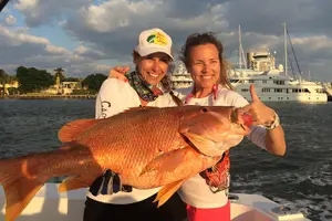 Tour image of 4-Hour Shared Big Game Deep Sea Fishing Charter in Fort Lauderdale