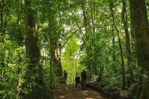 Tour image of Hiking to Curi-Cancha Reserve
