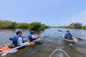 Tour image of Clear Kayak Tour of Tarpon Springs Sponge Docks & Mangroves