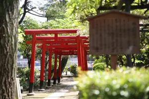 Tour image of Private Kimono Photo Walk in Kurashiki Bikan Historical Quarter