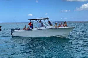 Tour image of Private Charter 28ft Grady White. Stingrays, Snorkeling, Starfish