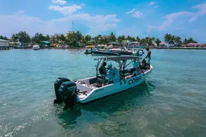Tour image of San Pedro: Reef Fishing and BBQ Catch Adventure