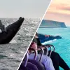 Image of Catamaran Cruises