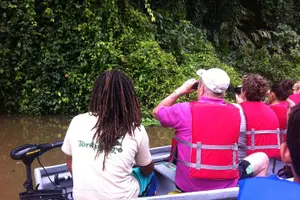 Tour image of Total Tortuguero Canoe or Kayak+hike+NW(Tortugas from Jul-Oct)