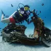 Image of Freediving