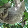 Image of Eco Tours