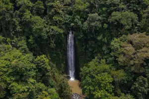 Tour image of Jungle Hike to Hidden Waterfall in Puerto Viejo