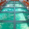 Image of Glass Bottom Boat Tours