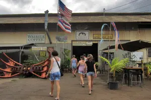 Tour image of Custom Island Tour - for 4 to 5 people - up to 8 hours - Private tour of Oahu
